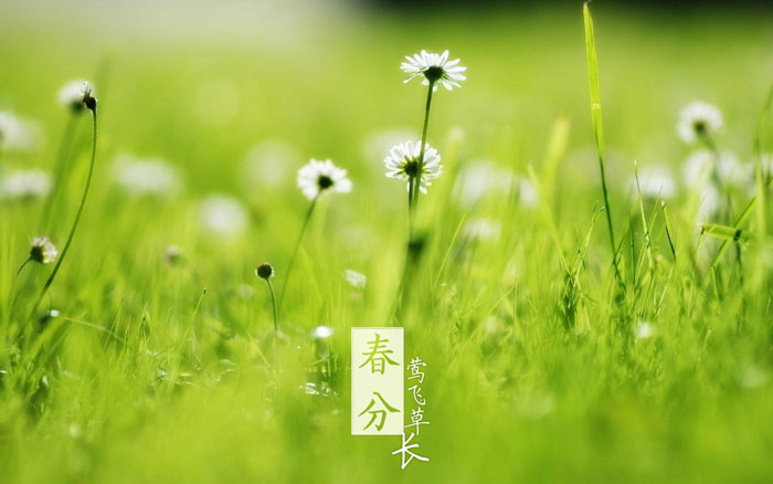 即就是东风十里，依然不如你